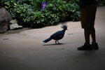 DSC_9139.JPG